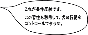 これが条件反射です。この習性を利用して、犬の行動を
コントロールできます。