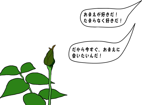 花の蕾の絵。「いますぐ会いたい」